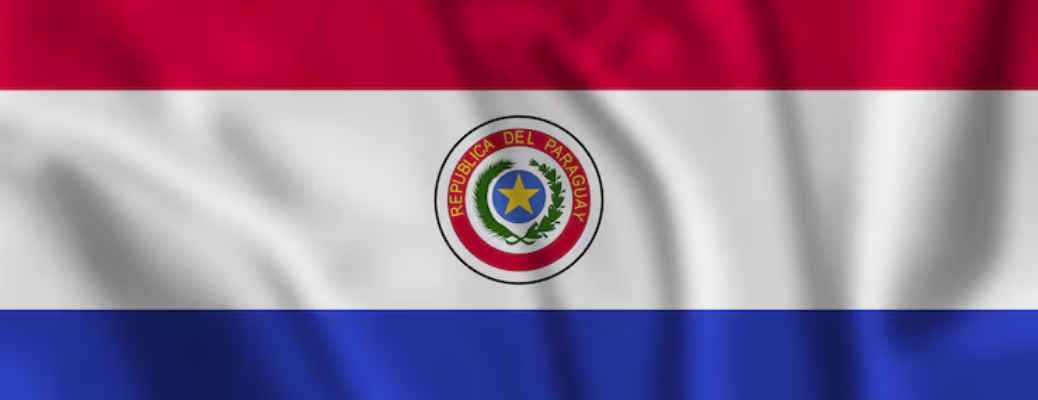Paraguay. Situación y Perspectiva del Mercado Asegurador 2021-2025
